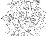 Drawing Of Exotic Flowers How to Draw A Tropical Flower Drawings Of Flowers Step by Step