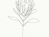 Drawing Of Exotic Flowers Pin by Lexxxxi On Tattoo Ideas Drawings Art Single Line Drawing