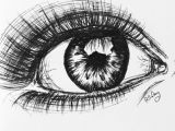 Drawing Of Eyes In Pen Pen Eye Life Draw Art Drawings Art