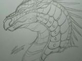 Drawing Of Fire Dragons 316 Best Wings Of Fire Images Wings Of Fire Dragons Dragon Art