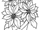 Drawing Of Flower Basket with Colour Christmas Flower Printable Coloring Page Coloring Pages