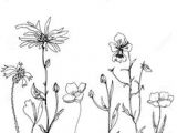 Drawing Of Flower Composition 28 Best Line Drawings Of Flowers Images Flower Designs Drawing