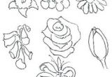 Drawing Of Flowers and Nature 361 Best Drawing Flowers Images Drawings Drawing Techniques