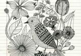 Drawing Of Flowers and Nature Pencil Sketch Of Bird and Flowers Food Drink that I Love