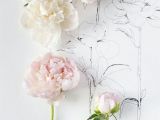 Drawing Of Flowers In the Garden Flowers Drawing Flowers Pinterest Flowers Peonies and Bloom