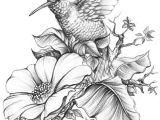 Drawing Of Flowers with Birds Hummingbird E E Done for A Book Cover A4 Size Hb 3b 6b Acrylic