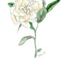Drawing Of Gardenia Flower 28 Best Ink Images In 2019 Gardenia Tattoo Drawings Floral Tattoos