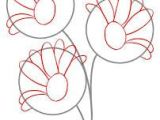 Drawing Of Gerbera Flower 52 Best Daisies Images Daisy Drawing Draw Daisies