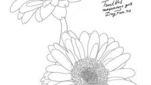 Drawing Of Gerbera Flower How to Draw Gerberas Step by Step 4 Watercolor Drawings Art