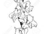 Drawing Of Gladiolus Flower Die 14 Besten Bilder Von Gladiolen Tattoo Gladiolus Tattoo
