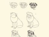 Drawing Of Greedy Dog 120 Best Drawing Dog Images Cute Drawings Kawaii Drawings Doggies