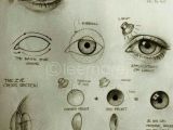 Drawing Of Green Eye Pin by Maria De La torre On How to Draw Eyes Drawings Art Art