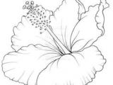 Drawing Of Gumamela Flower 28 Best Line Drawings Of Flowers Images Flower Designs Drawing