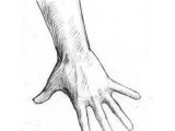 Drawing Of Hands forming A Heart Drawing Hands the Hand Reaching Down Pictures Of Hands Drawings