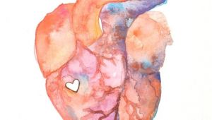 Drawing Of Heart Structure Anatomy Of Love Human Heart Watercolor Print Diy Inspiration