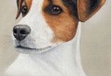 Drawing Of Jack Russell Dog 838 Best Jack Russell Terrier S World Images In 2019 Cute Puppies
