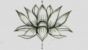 Drawing Of Kamal Flower Love This Lotus Flower Sketcha Would Be A Cute Tat Actual Size