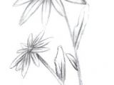 Drawing Of Magical Flower 361 Best Drawing Flowers Images Drawings Drawing Techniques