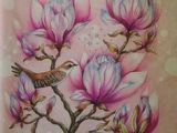 Drawing Of Magnolia Flower 1383 Best Artimages Flowers Magnolia because Of the Giant Tulip