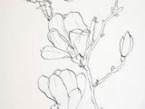 Drawing Of Magnolia Flower 1412 Nejlepa A Ch Obrazka Z Nasta Nky Flower Drawings Drawings