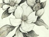 Drawing Of Magnolia Flower Pin by E A A C On E A O Pinterest Tattoos Magnolia Tattoo and