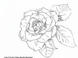 Drawing Of Rose and Jack How to Draw A Easy Step by Step Rose Draw A Rose with Fiber Tip Pen