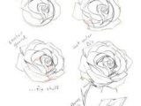 Drawing Of Rose and Jack How to Draw A Easy Step by Step Rose Jack and Rose Drawing at