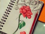 Drawing Of Rose From Beauty and the Beast Beauty the Beast Art Pinterest Drawings Art and Beauty and