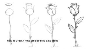 Drawing Of Rose Step by Step How to Draw A Rose Step by Step Easy Video Easy to Draw Rose Luxury