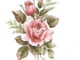 Drawing Of Rose with Colour 96 Best Rose Drawing Tattoo Images Rose Drawing Tattoo Tattoo