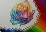 Drawing Of Rose with Colour Rose Color Pencil Drawing by Gaby Sabbagh Rainbows Pencil