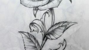 Drawing Of Rose with Stem Rose and Stem Tattoo Art Tattoos Tattoo Drawings Rose Tattoos