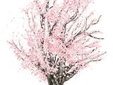 Drawing Of Sakura Flower Commission Cherry Tree In 2019 Photos Pinterest Drawings