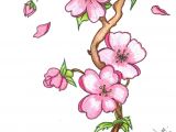 Drawing Of Sakura Flower Pin by Marvin todd On Drawing Flowers In 2019 Pinterest Drawings