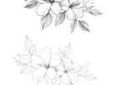 Drawing Of Tiny Flowers 215 Best Flower Sketch Images Images Flower Designs Drawing S