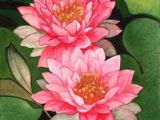 Drawing Of Water Lily Flower 646 Best Water Lilies Images Lotus Flower Water Lilies Flower Art