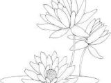 Drawing Of Water Lily Flower Image Result for Water Lily Coloring Pages Motifs Coloring Pages