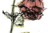 Drawing Of Wilted Flower 11 Best A Wilted Rose Images Wilted Rose Roses Bleeding Rose