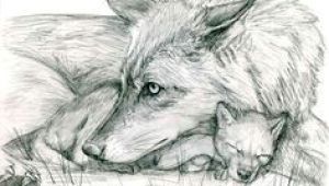 Drawing Of Wolf Cub 180 Best Wolf Drawings Images Drawing Techniques Drawing