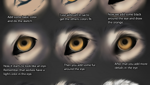 Drawing Of Wolf Eyes Wolf Eye Tutorial by themysticwolf Deviantart Com On Deviantart