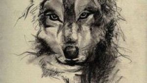 Drawing Of Wolf Tattoo 73 Amazing Wolf Tattoo Designs Ink Wolf Tattoos Tattoos Wolf