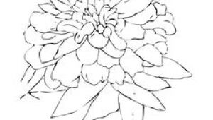 Drawing Of Zinnia Flower 173 Best Drawings Flowers More Images Flower Designs Coloring
