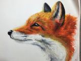 Drawing Pastel Wolf Oil Pastels Fox Drawing Art In 2019 Oil Pastel Art Pastel Art