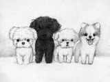 Drawing Pictures Of Cute Dogs 120 Best Drawing Dog Images Cute Drawings Kawaii Drawings Doggies