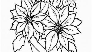 Drawing Quick Flowers 26 ordinary What to Draw for Beginners Helpsite Us