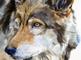 Drawing Realistic Dog Eyes Drawing Pencil Portraits Gris Loup Portrait Faune Animal Aquarelle