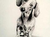 Drawing Sausage Dogs 126 Best Dachshund Drawing Images In 2019 Dachshund Drawing