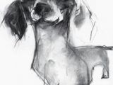 Drawing Sausage Dogs 510 Best Art Dachshund Images Dachshund Dog Sausages Dachshund