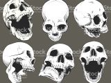 Drawing Skull Reference Collection Of Six Vector isolated Black and White Skulls Shown From