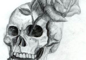 Drawing Skulls Easy Skull and Rose by Dyslogistic On Deviantart Skull Art Draw